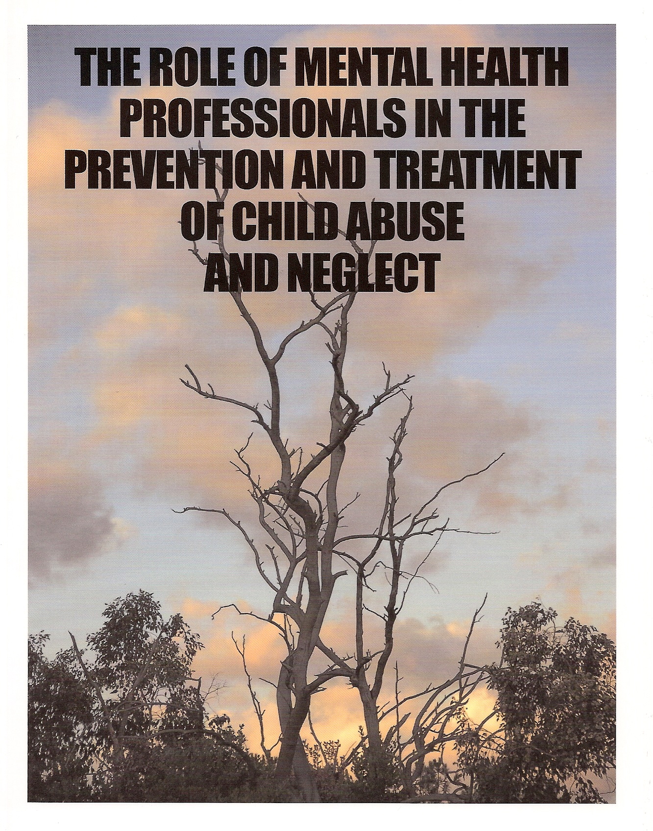 Prevention and Treatment of Child Abuse and Neglect